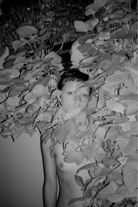 Laura Withrow